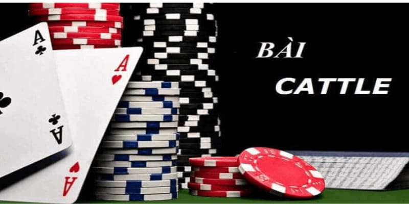 Giới thiệu về Cách chơi bài Catte tại B52CLUB